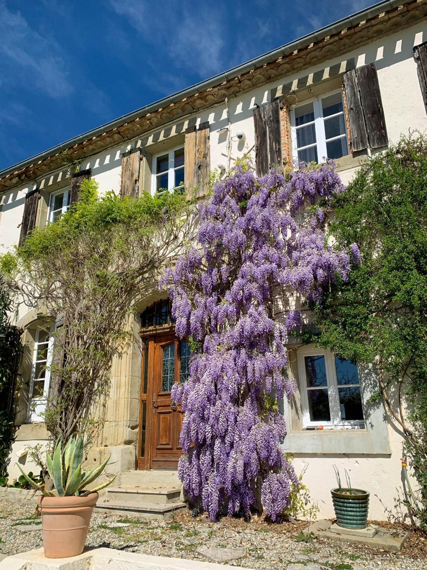 The East Wing - Carcassonne Villa Montréal Exterior foto